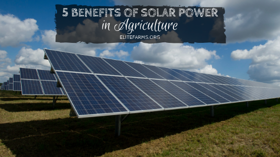 5 Benefits of Solar Power in Agriculture