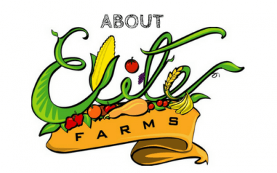 Welcome from Elite Farms, A Premier Wholesale Distributor Based in Brooklyn NY