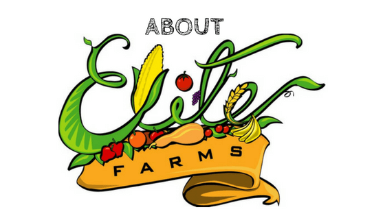 Welcome from Elite Farms, A Premier Wholesale Distributor Based in Brooklyn NY