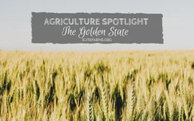 Agriculture Spotlight: The Golden State