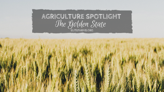 Agriculture Spotlight: The Golden State