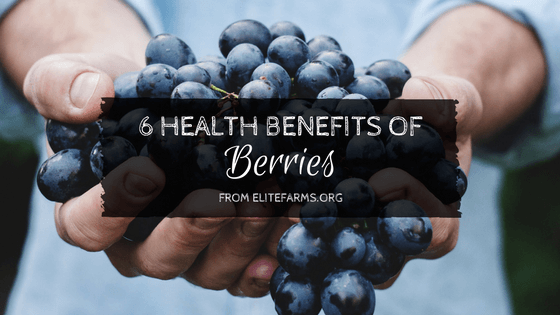 6 Health Benefits of Berries