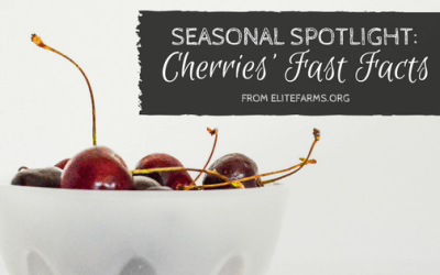 Seasonal Spotlight: Cherries’ Fast Facts