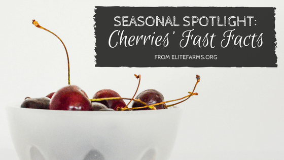 Seasonal Spotlight: Cherries’ Fast Facts