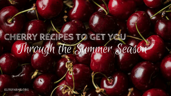 Cherry Recipes to Get You Through the Summer Season