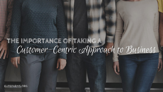 The Importance of Taking a Customer-Centric Approach to Business