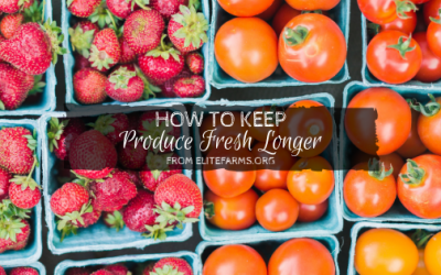 How to Keep Produce Fresh Longer