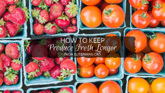 How to Keep Produce Fresh Longer