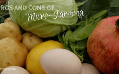 Pros and Cons of Micro-farming