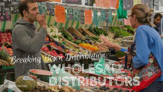 Breaking Down Distribution: Wholesalers