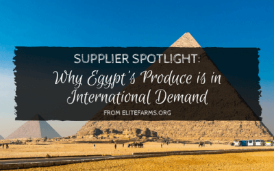 Supplier Spotlight: Why Egypt’s Produce is in International Demand