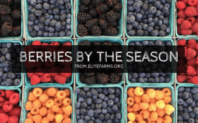 Berries By the Season