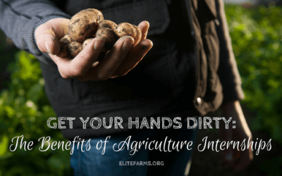 Get Your Hands Dirty: The Benefits of Agriculture Internships