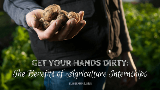 Get Your Hands Dirty: The Benefits of Agriculture Internships