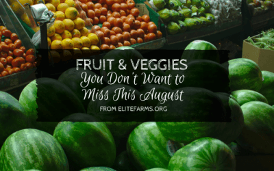 Fruit & Veggies You Don’t Want to Miss This August