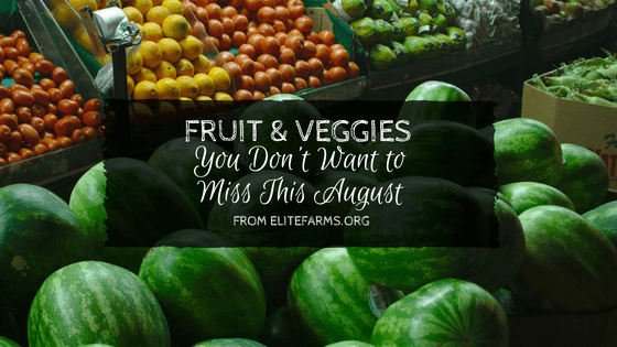 Fruit & Veggies You Don’t Want to Miss This August